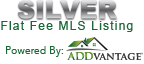 Silver, Flat Fee MLS Listing